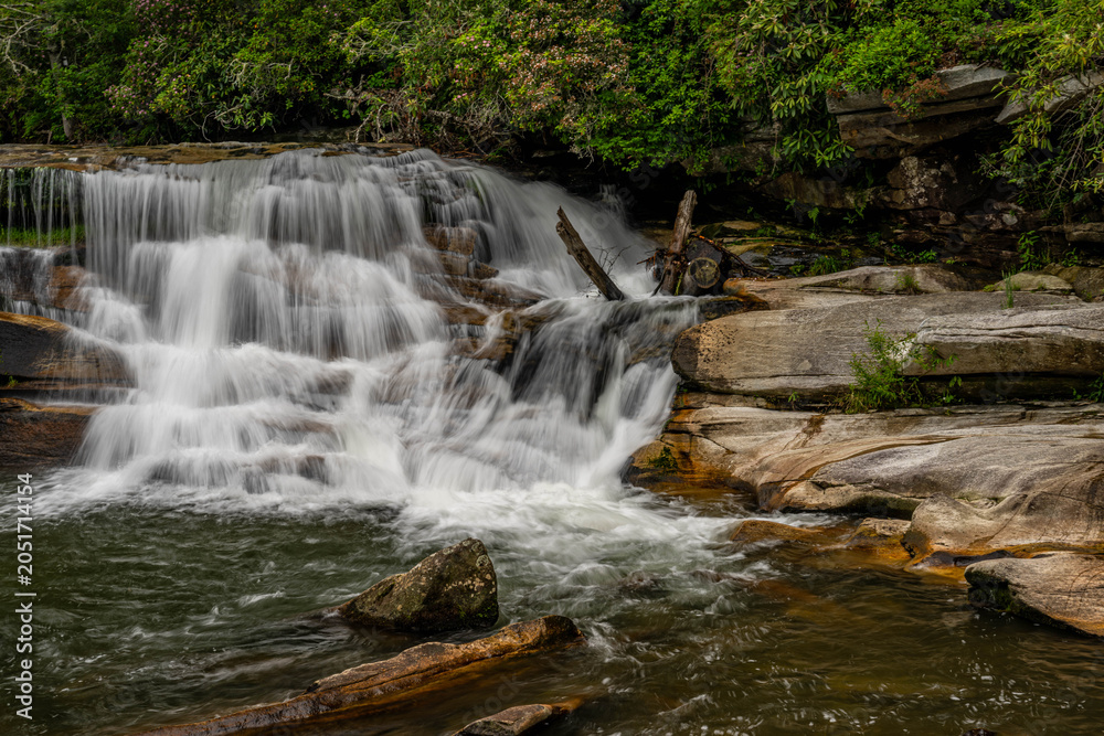 Fototapeta premium living waters