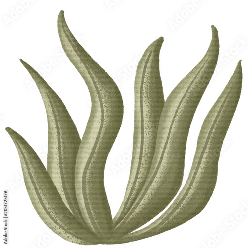 Dark green sea grass leaves. Watercolor nursery illustration. For baby decor, cards, invitations. Under the sea.
