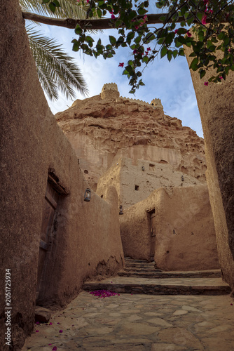 Vertical perspective of ancient stone path and mud walls leading to Zaabal Castle in Sakaka
