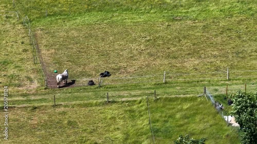 Aerial drone footage of a grey horse standing in a fenced pasture near Acomb York North Yorkshire UK showing rural equestrian land use and countryside grazing areas within a managed grass field