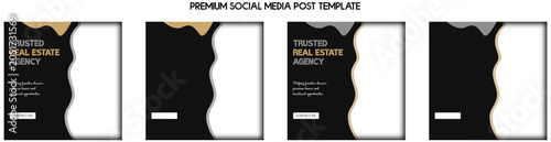 Ultra Luxury Mansion Instagram Carousel Template for Premium Real Estate Marketing and Property Showcase, isolated transparent background, editable vector artwork PNG file, EPS JPG Illustrator Include