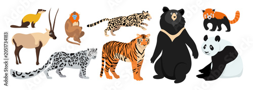 Canvas Print Set of wild animals of China