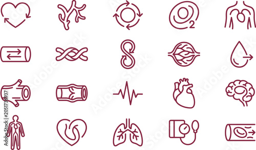 Foto Minimalist vector illustration set depicting essential human cardiovascular syst