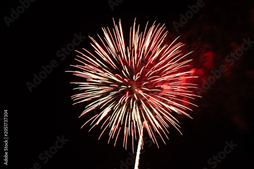 fireworks in the sky