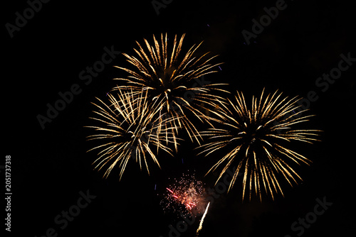 fireworks in the night