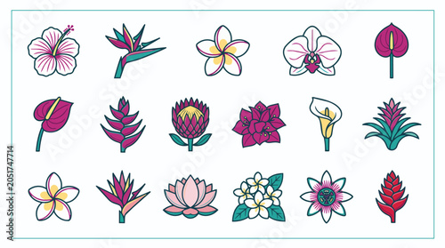 Collection of colorful flowers and plants.