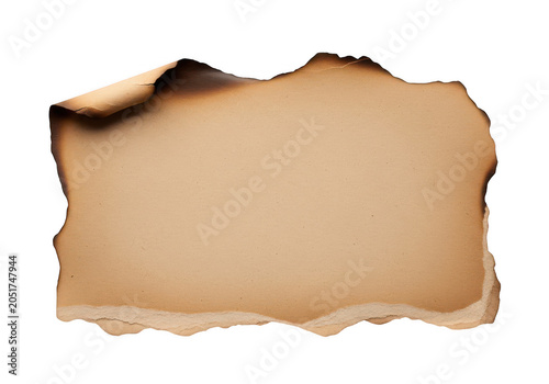 Torn piece of aged paper with rough edges