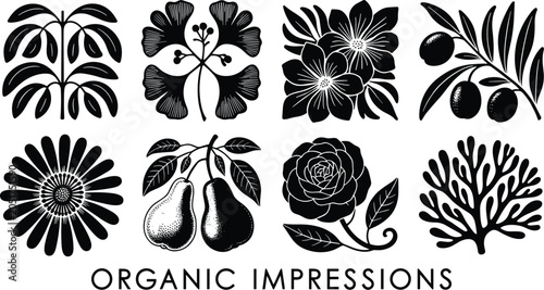 Black and White Organic Botanical Illustrations vintage