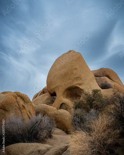 skull rock in Joshua Tree National Park