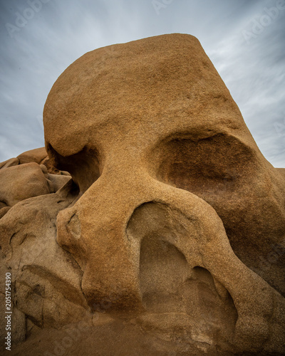 skull rock in Joshua Tree National Park