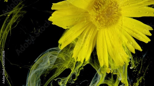 Close-up of a yellow daisy partially submerged in swirling neon green liquid against a black background. Directional studio lighting emphasizes petal texture