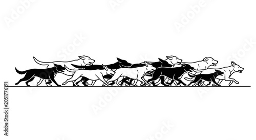 Pack of black and white dogs running in horizontal line