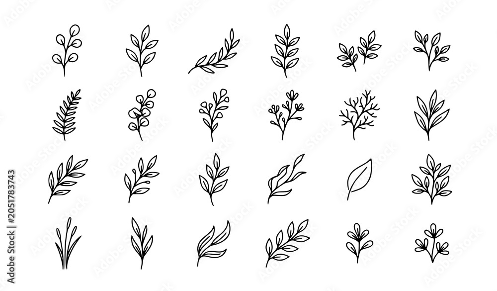 Fototapeta premium Modern botanical sprig outline collection with simple leaf branch vectors