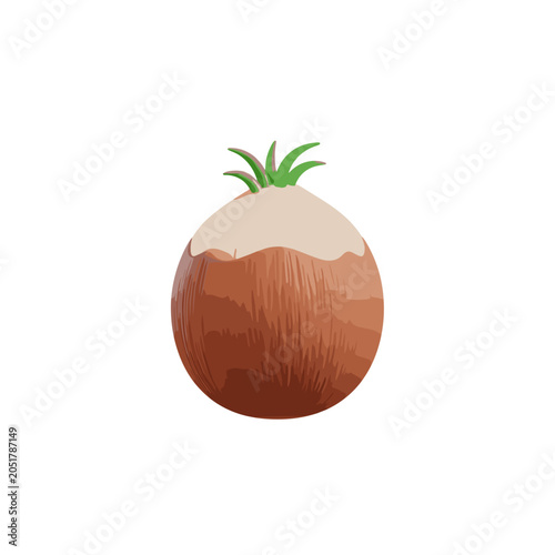 Canvastavla Fresh Brown Coconut with Small Green Sprout on Top