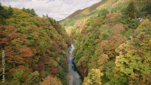 小安峡大噴湯の紅葉 Autumn foliage at Koyasu Gorge Geyser