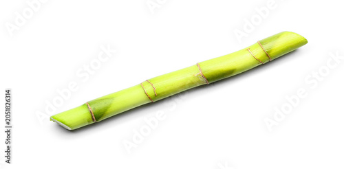 Green bamboo stem on white ...
