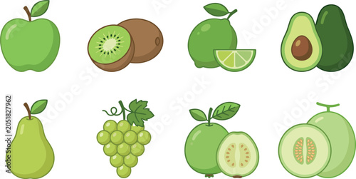 Colorful Flat Vector Illustration of Green Fruits Including Apple Kiwi Lime Avocado Pear Grapes Guava and Melon