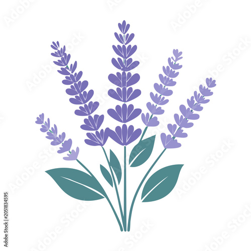 Flat design illustration of lavender flowers with leaves