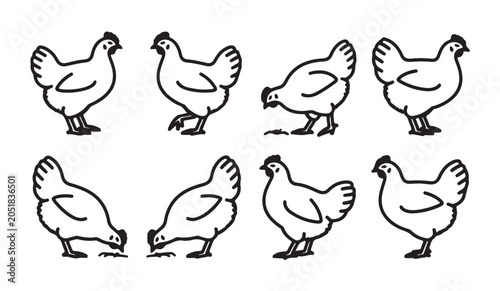 фотографія Linear vector icons of chicken in different poses including foraging and standing gestures