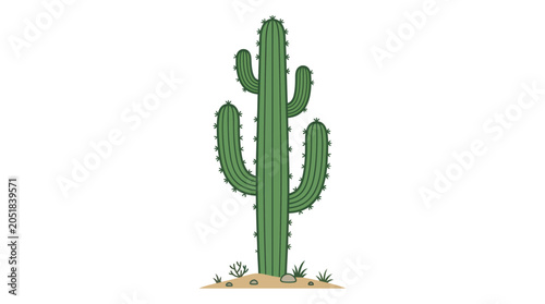 Foto A large green cactus plant.
