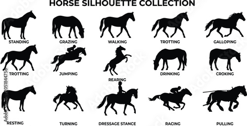 Fotografie Horse Silhouette Collection Featuring Standing Grazing Running Jumping Racing an