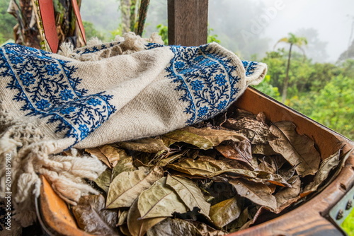 Konstfotografi Fresh green coca leaves arranged on a traditional Andean embroidered fabric background