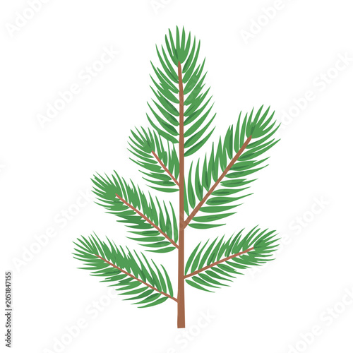 Green pine branch illustration on white background