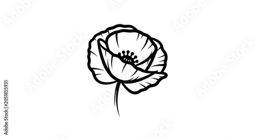 Elegant black and white poppy blossom line art drawing