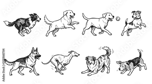 Konstfotografi Diverse Dog Breeds Running and Playing Sketch Collection