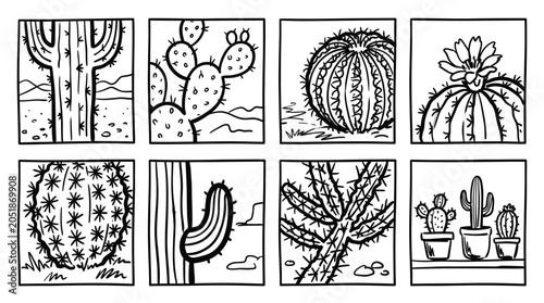 Bild auf Leinwand Hand-drawn desert cacti collection in black and white, diverse shapes and sizes