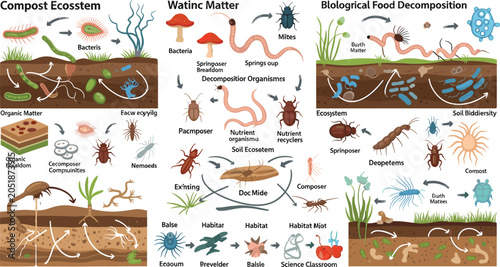 Fotografie Compost ecosystem and soil food web infographic diagrams set featuring biologica