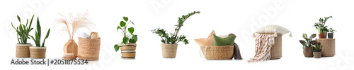 Of houseplants and home dec...