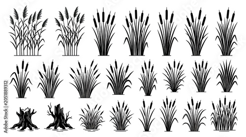 set of wheat ears