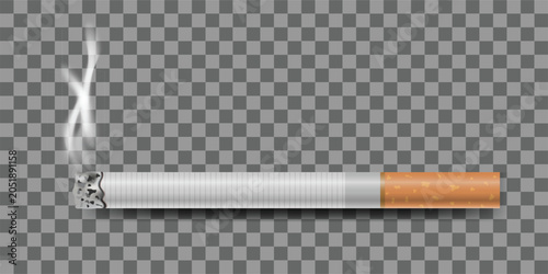 Cuadro en lienzo Realistic cigarette and smoke on transparent background, vector illustration