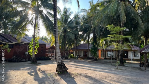 Sunny morning at tropical resort yard with coconut palm trees and wooden houses