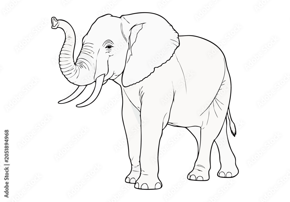 Fototapeta premium African Elephant Line Art Coloring Page for Kids Isolated on White Background