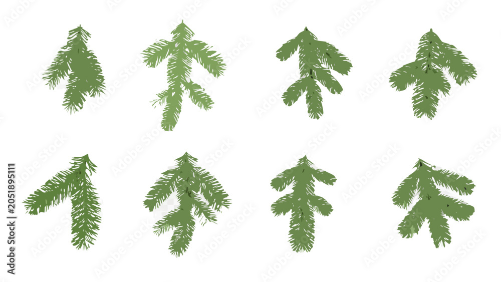 Fotografija Fir branches collection vector illustration with transparent background