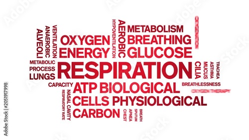 Respiration animated word cloud-gross domestic product animation tag kinetic typography seamless loop.