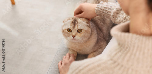 Photography Young woman with cute Scottish Fold cat lying on sofa at home, closeup