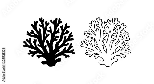 Photos Coral silhouette and line art on a white background