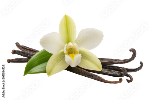 A single white vanilla orchid flower with a green leaf resting on a small bundle of dark brown dried vanilla beans against a black background