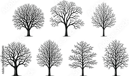Cuadro en lienzo Collection of black and white leafless tree silhouettes for seasonal, forest, or winter graphic design projects, image_5a819f