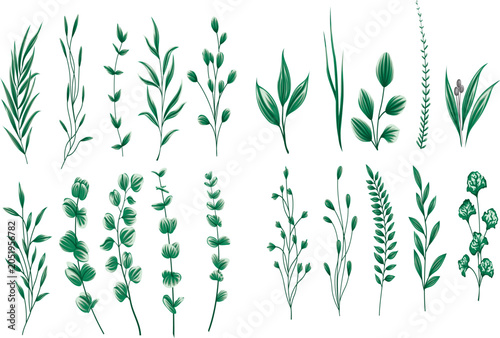 A diverse collection of green botanical elements, featuring various leaves, branches, and plant stems in an illustrative style.