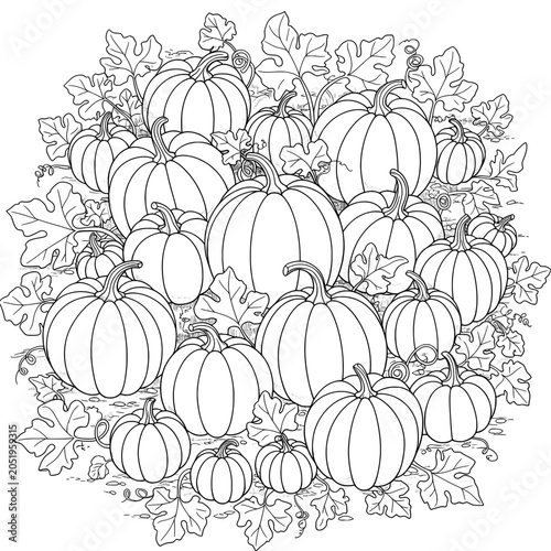 Pumpkins with Leaves Outlined illustration featuring many pumpkins and leaves in a monochrome scheme