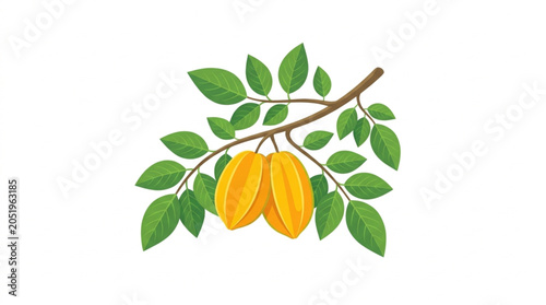 Konstfotografi Two Ripe Star Fruits Hanging on a Branch with Green Leaves.