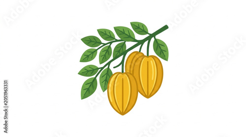 Tableau sur toile Two Ripe Star Fruits Hanging on a Branch with Green Leaves.