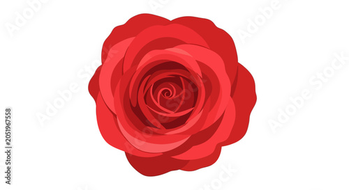 Vibrant Red Rose Flower Vector Illustration Isolated on White