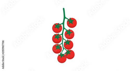 Bunch of red cherry tomatoes on green vine vector illustration