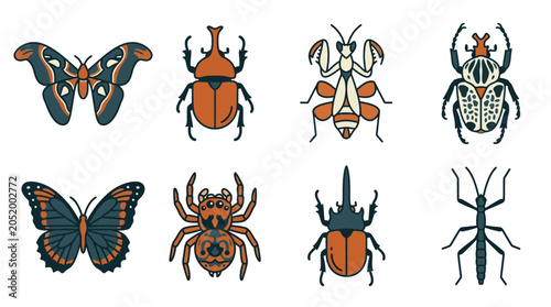 Foto Insects Butterflies Beetles and Spider.