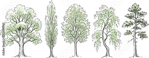 Collection of Five Diverse Hand Drawn Trees in Various Styles